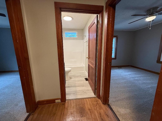 hallway featuring a textured ceiling and light wood-type flooring