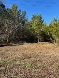 Listing photo 2 for 63.74ACRE Chestnut Valley Rd, Vonore TN 37885