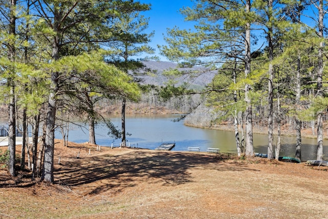 property view of water featuring a mountain view