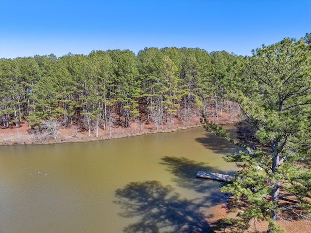 aerial view featuring a water view and a view of trees