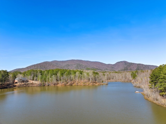 property view of water featuring a mountain view