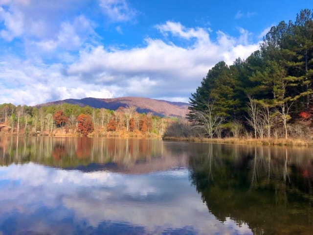 property view of water featuring a wooded view and a mountain view