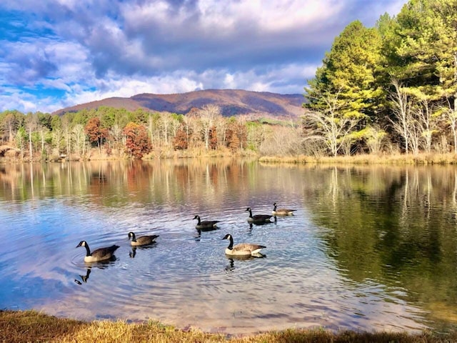 water view featuring a forest view and a mountain view