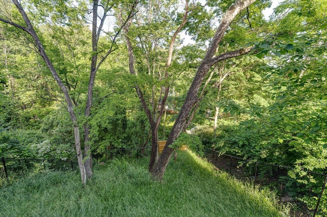 504 Rosewood St, Chattanooga, TN 37405 - photo 39