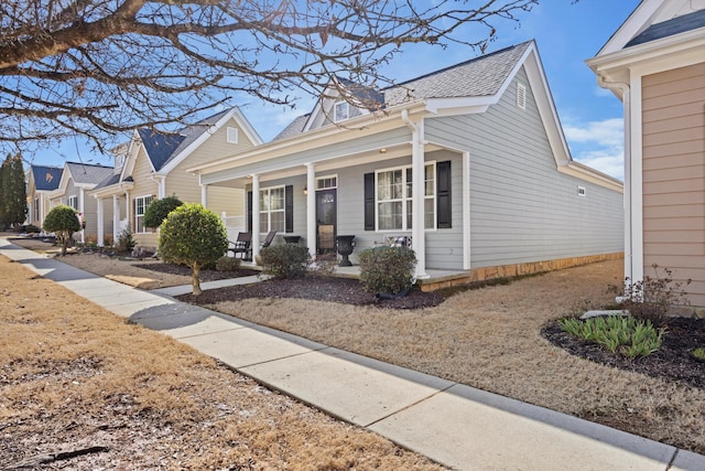 view of front of home featuring covered porch and roof with shingles