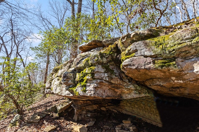 4700 Creek Point Ln, Signal Mountain, TN 37377 - view of local wilderness