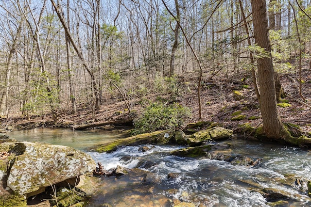 4700 Creek Point Ln, Signal Mountain, TN 37377 - water view