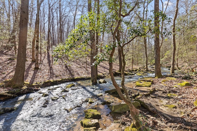 4700 Creek Point Ln, Signal Mountain, TN 37377 - view of local wilderness