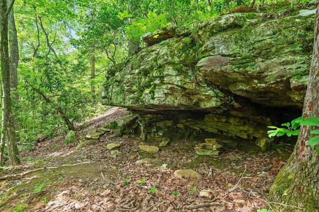 4700 Creek Point Ln, Signal Mountain, TN 37377 - view of local wilderness