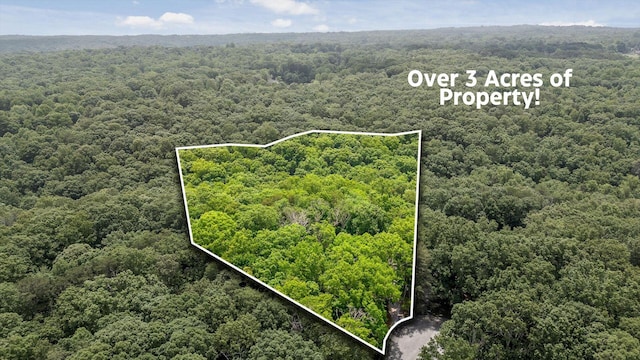 4700 Creek Point Ln, Signal Mountain, TN 37377 - aerial view of property's location featuring a forest and property boundaries highlighted