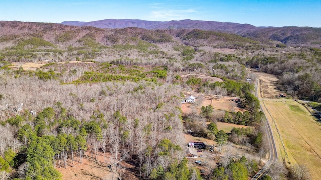 bird's eye view with a mountain view