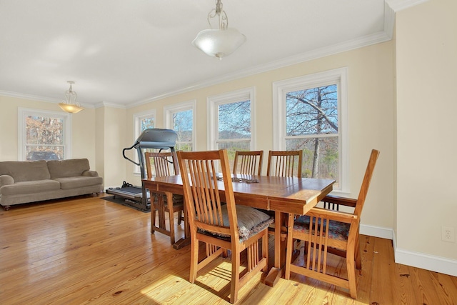 dining space featuring ornamental molding and light hardwood / wood-style floors