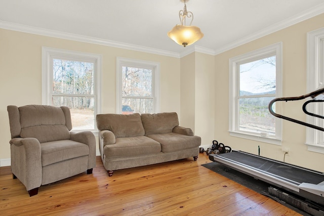 living room featuring ornamental molding, plenty of natural light, and light wood-type flooring