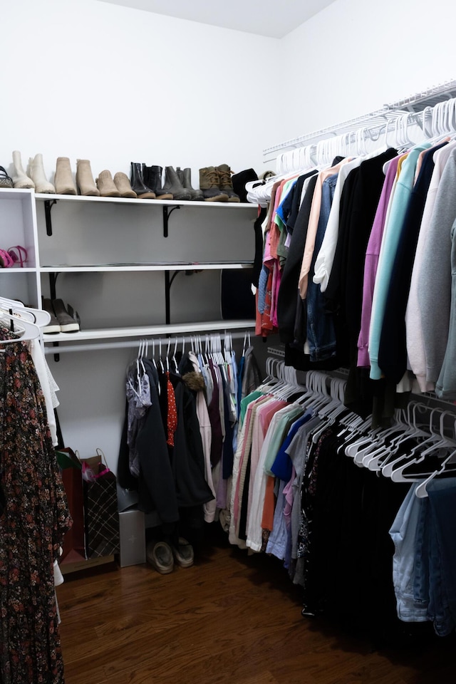 walk in closet featuring wood finished floors