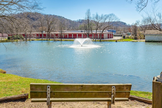 property view of water featuring a mountain view