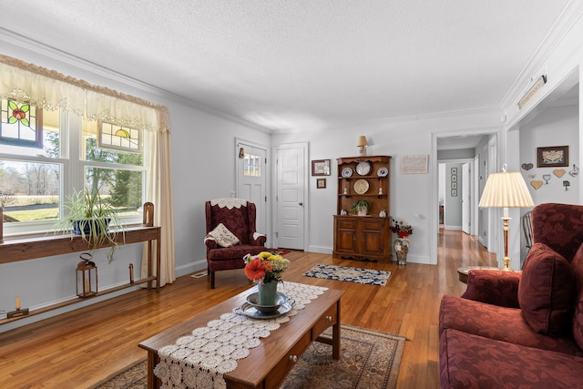 living room featuring crown molding, a textured ceiling, baseboards, and wood finished floors