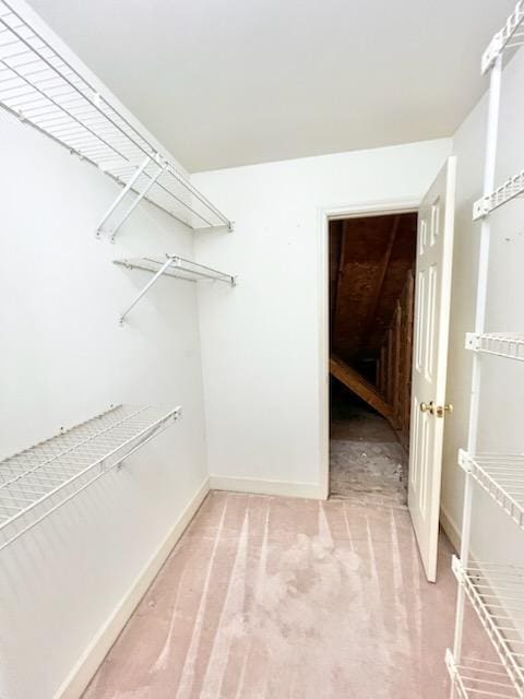 walk in closet with carpet flooring