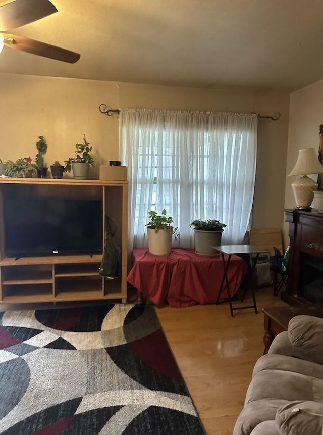 living room with hardwood / wood-style flooring, a fireplace, and ceiling fan