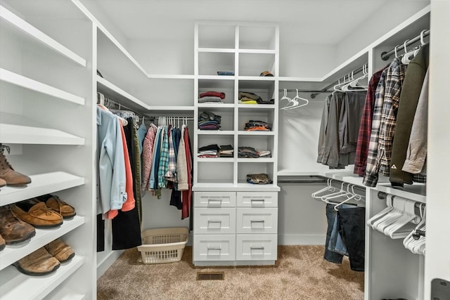 walk in closet with light colored carpet