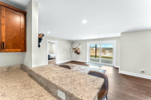 interior space featuring dark wood-type flooring and kitchen peninsula