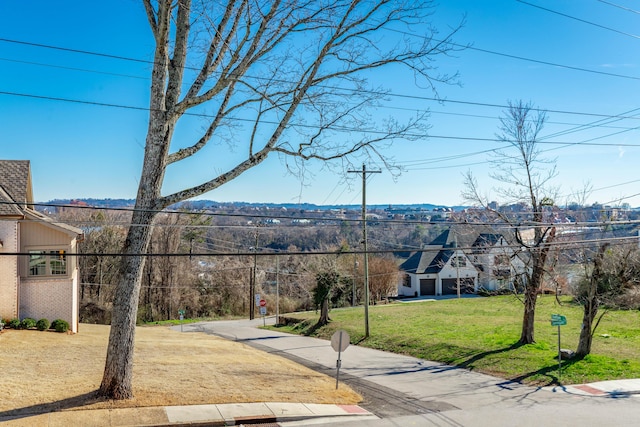 view of community featuring a yard