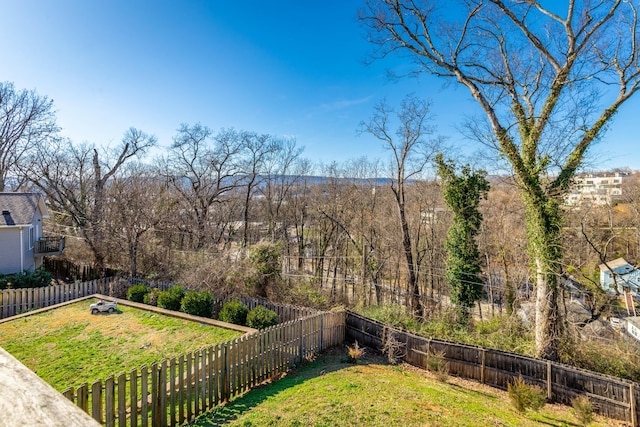 view of yard with a fenced backyard