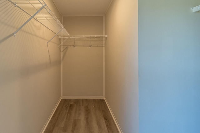 79 Bear Oak Dr, Dunlap, TN 37327 - walk in closet with wood finished floors