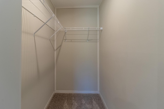 79 Bear Oak Dr, Dunlap, TN 37327 - spacious closet with carpet flooring