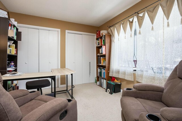 home office featuring carpet flooring