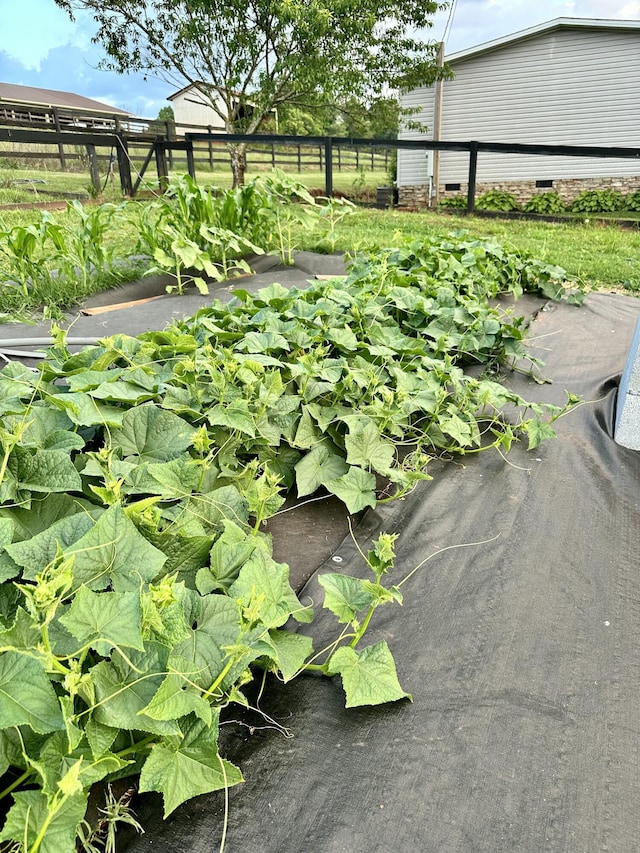 view of yard with a vegetable garden and fence