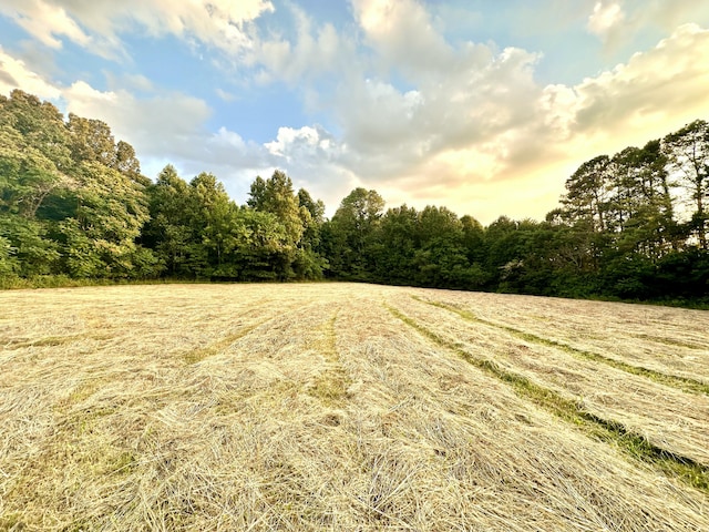 view of nature with a wooded view