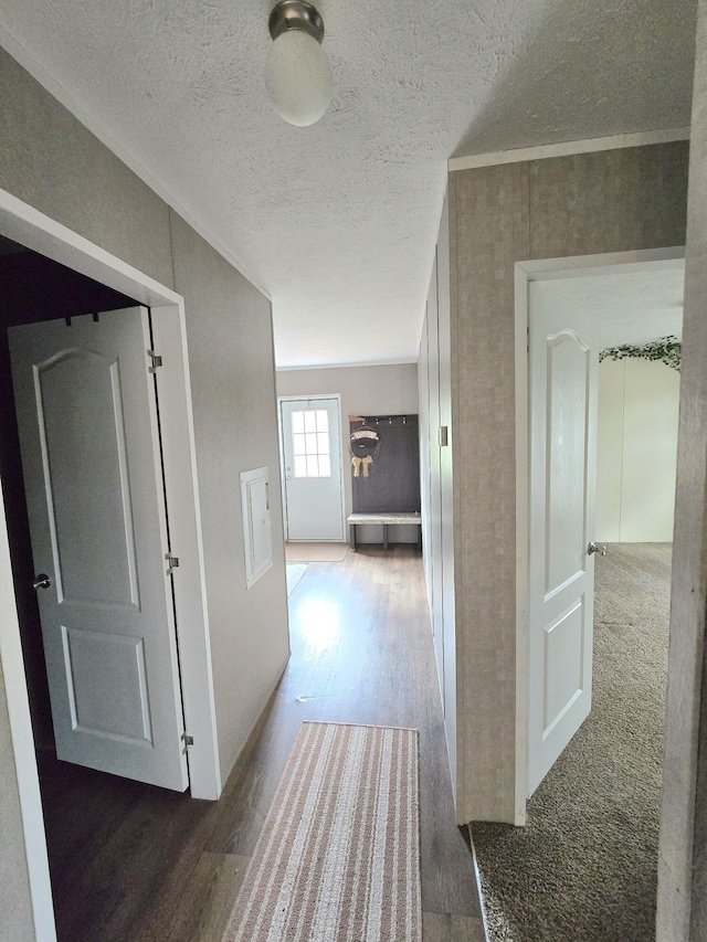 hallway with a textured ceiling and wood finished floors