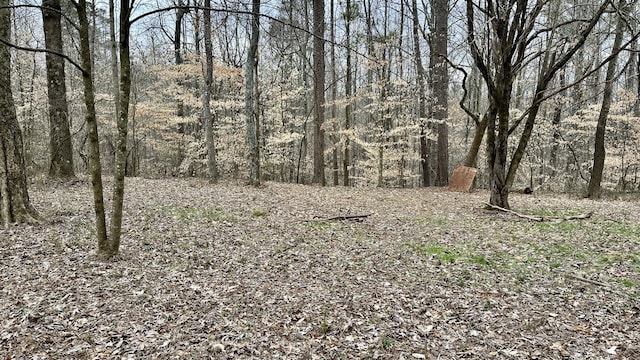 view of nature featuring a forest view