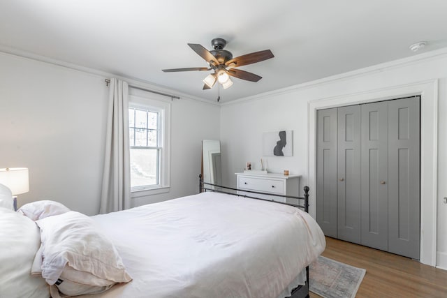 bedroom featuring a ceiling fan, a closet, ornamental molding, and wood finished floors