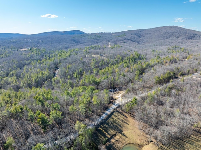 view of mountain feature featuring a wooded view