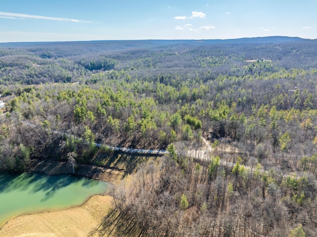 birds eye view of property with a forest view and a water and mountain view