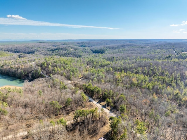 aerial view with a view of trees and a water view