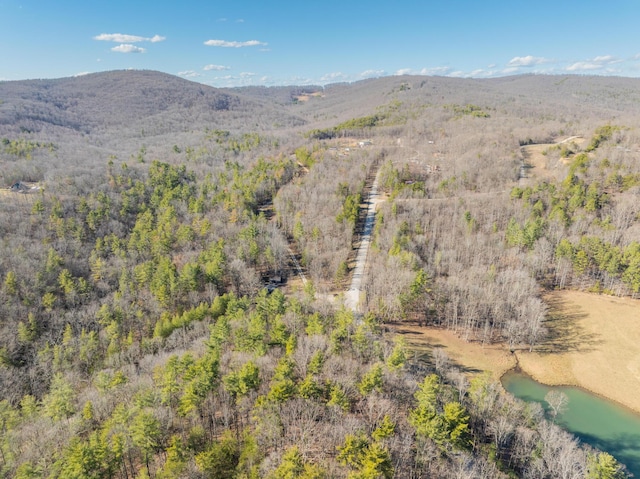 property view of mountains featuring a view of trees and a water view