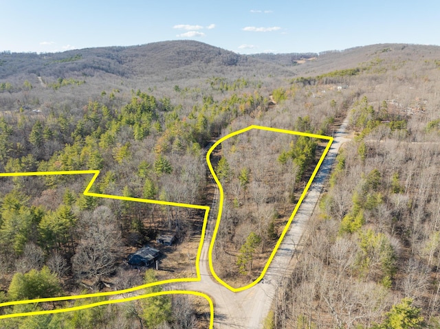 birds eye view of property featuring a mountain view and a forest view