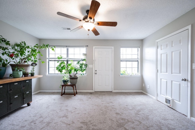 foyer entrance with baseboards, visible vents, a wealth of natural light, and carpet flooring