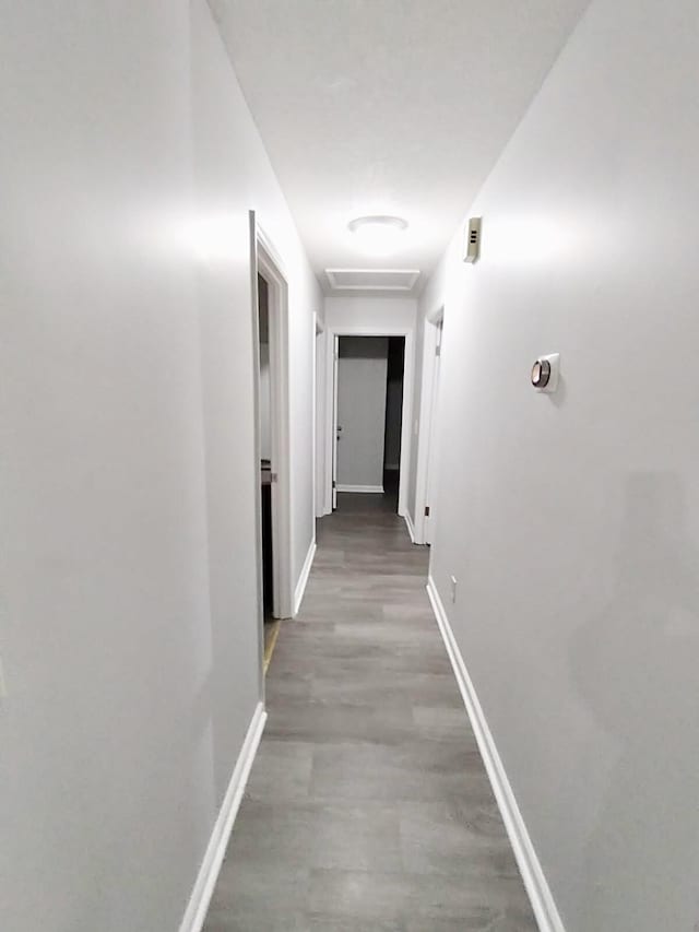 hall featuring hardwood / wood-style floors