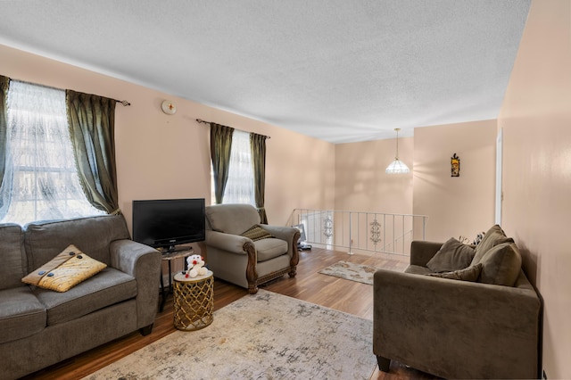 living room with a textured ceiling and hardwood / wood-style floors