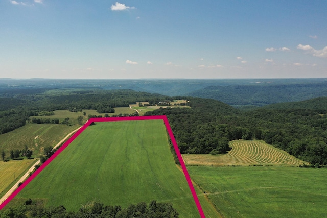 Listing photo 2 for 40AC County Road 131, Bryant AL 35958