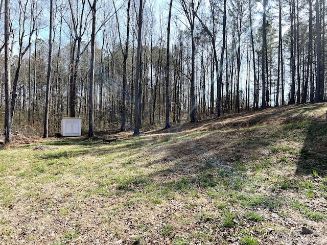 view of yard featuring a wooded view