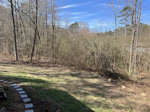 view of yard featuring a wooded view