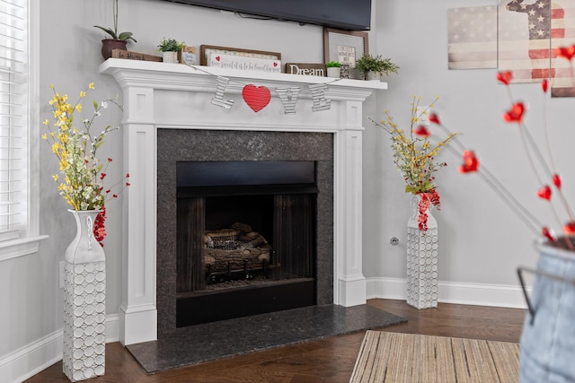 room details featuring wood finished floors, baseboards, and a premium fireplace