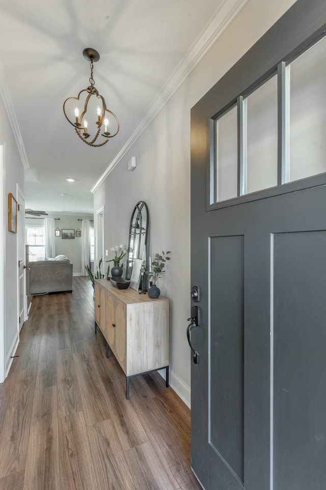 foyer with baseboards, dark wood finished floors, and crown molding