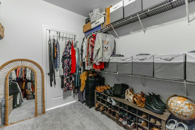 spacious closet featuring carpet flooring