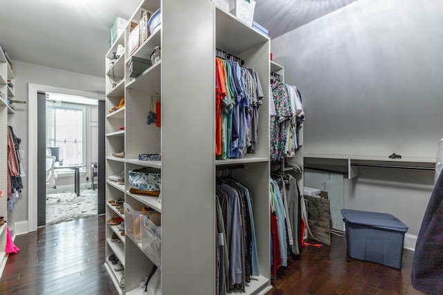 spacious closet with hardwood / wood-style flooring