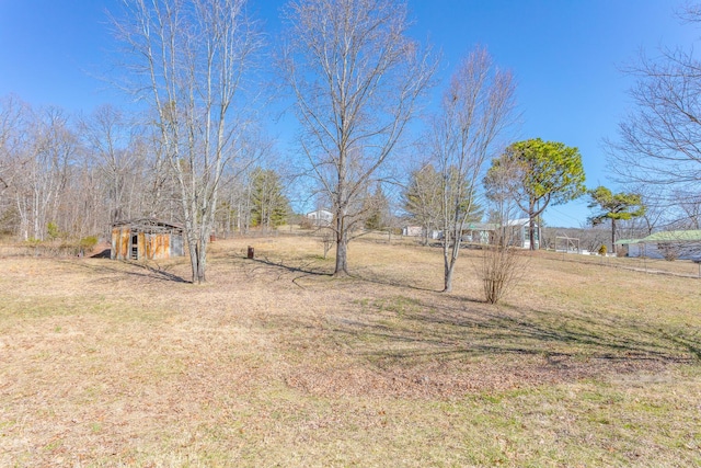 view of yard featuring an outdoor structure